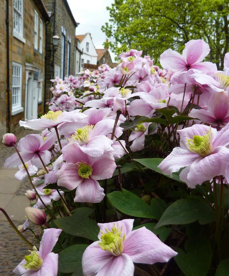 Aldersyde Bed & Breakfast Robin Hood's Bay Bagian luar foto